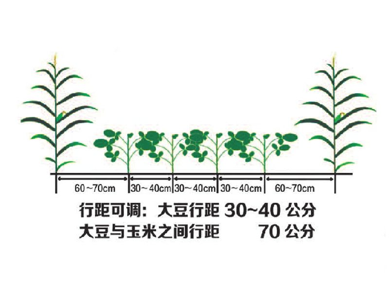 2BDYF-6型大豆玉米帶狀復(fù)合播種機(jī)